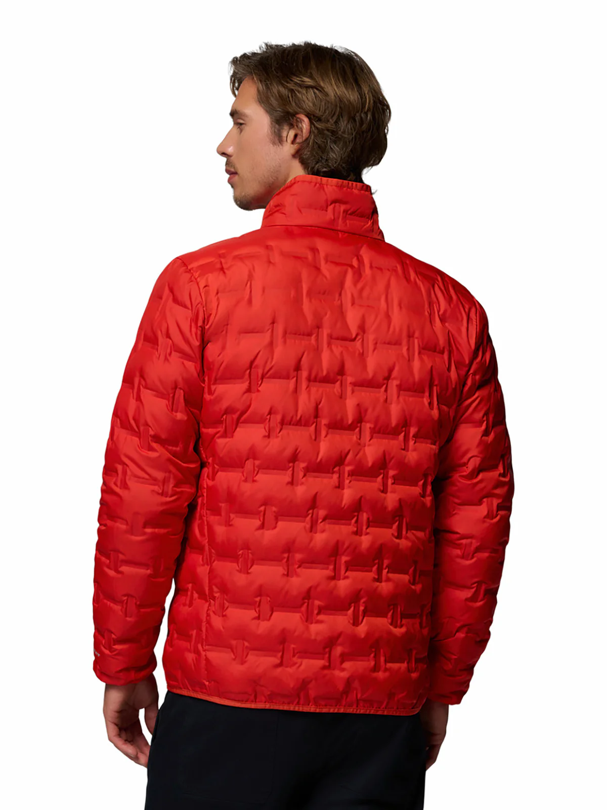 Casaca de Plumas Hombre Delta Ridge™ II Down - Image 3